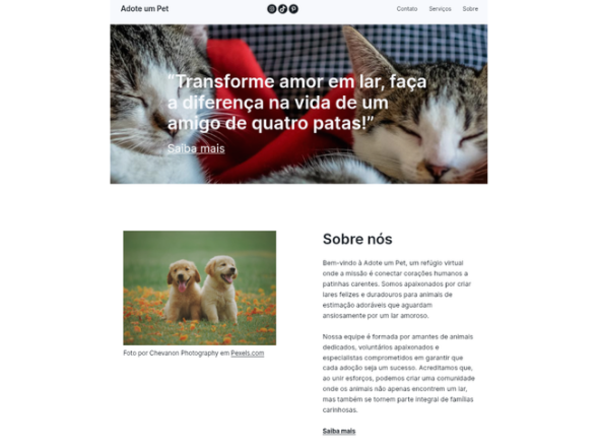 portfolio
